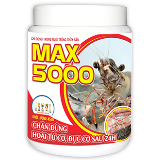 MAX 5000